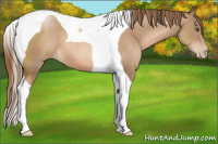 Horse Color:Liver Chestnut Pearl Tobiano