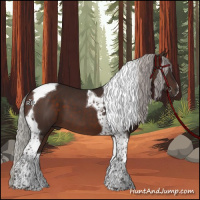 Horse Color:Silver Brown Tobiano 