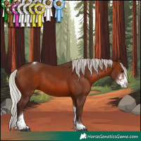 Horse Color:Silver Brown Sabino Tobiano