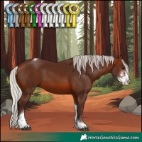 Horse Color:Silver Brown Sabino Tobiano