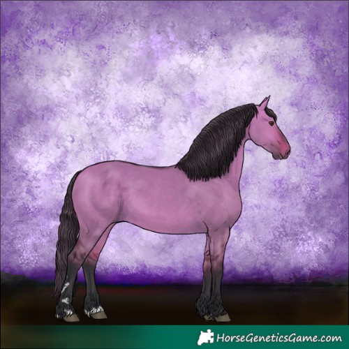 Horse Color:Bay Dun