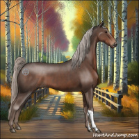 Horse Color:Silver Black 