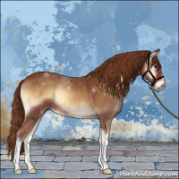 Horse Color:Red Onyx