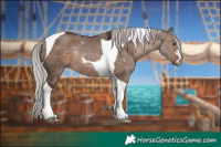 Horse Color:Silver Brown Dun Tobiano Rabicano 