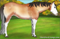Horse Color:Bay Onyx Splash
