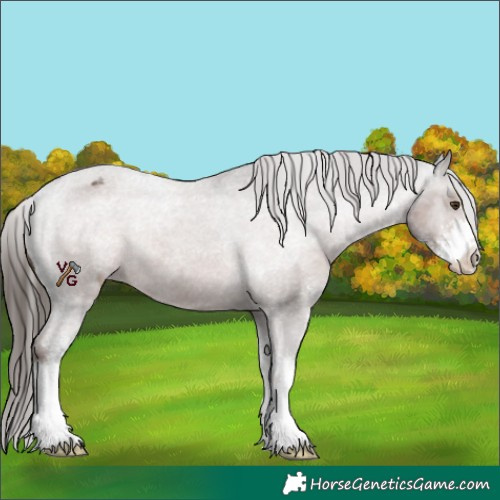 Horse Color:Liver Chestnut Sabino Varnish Rabicano