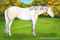 Horse Color:Silver Buckskin Pearl Dun Tobiano 