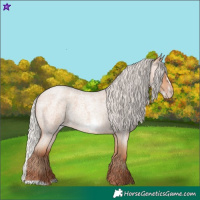Horse Color:Silver Amber Champagne Roan Frame 