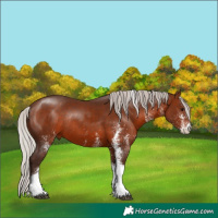 Horse Color:White Spotted Silver Brown Tobiano Rabicano 