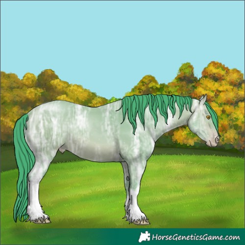 Horse Color:Watercolor Amber Champagne Ice Sabino Tobiano 