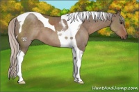 Horse Color:Silver Grullo Tobiano 