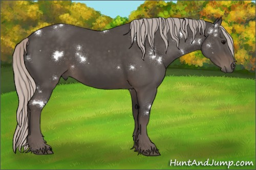 Horse Color:White Spotted Silver Black 