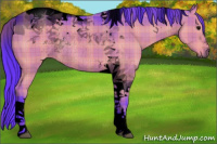 Horse Color:Void Watercolor Plaid Grullo Tobiano Rabicano