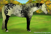 Horse Color:Void Watercolor Chestnut Pearl Tobiano 