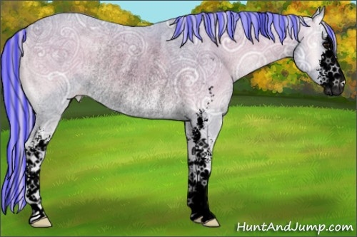 Horse Color:Void Painted Watercolor Chocolate Silver Smoky Blue Onyx Ice Sabino Appaloosa Rabicano 