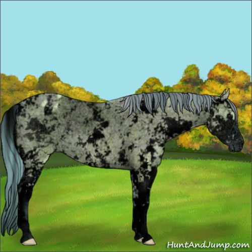 Horse Color:Void Watercolor Grullo Ice Sabino Varnish Rabicano