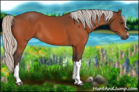 Horse Color:Silver Bay 