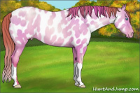Horse Color:Sable Cream Champagne Pearl Dun Near Leopard