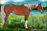 Horse Color:Silver Bay