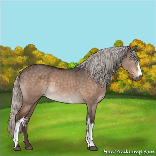 Horse Color:White Spotted Silver Brown Dun Mushroom Rabicano 