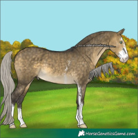 Horse Color:Silver Buckskin Dun Mushroom Sabino Brindle 