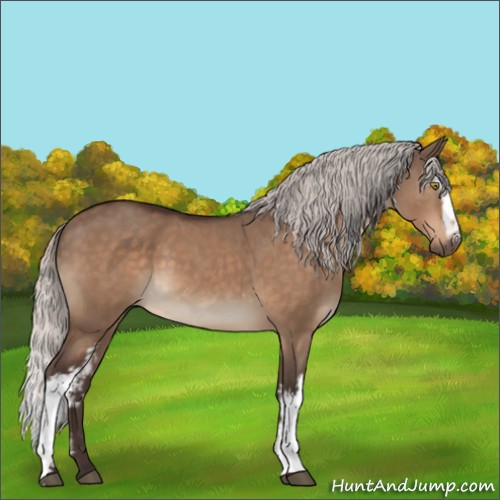 Horse Color:White Spotted Silver Brown Dun 