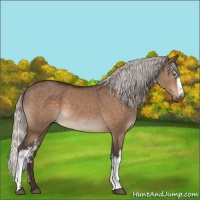 Horse Color:White Spotted Silver Brown Dun 