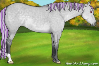 Horse Color:Painted Silver Grullo Chinchilla 