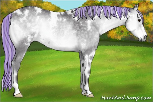 Horse Color:Painted White Spotted Silver Smoky Blue Onyx Chinchilla Rabicano