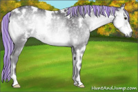 Horse Color:Painted White Spotted Silver Smoky Blue Onyx Chinchilla Rabicano 