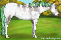 Horse Color:Painted White Spotted Chocolate Silver Blue Onyx Chinchilla Rabicano 