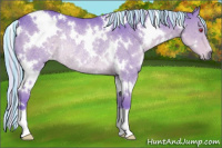 Horse Color:Painted Watercolor White Spotted Silver Grullo Chinchilla Rabicano 