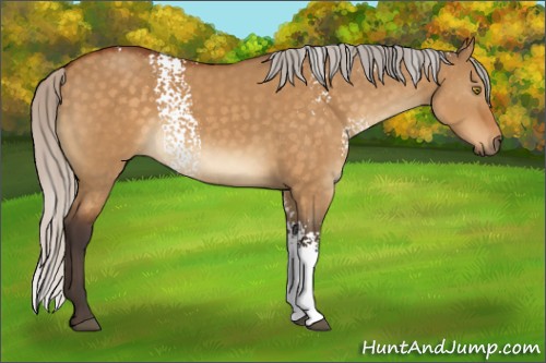 Horse Color:White Spotted Silver Buckskin Dun Rabicano 