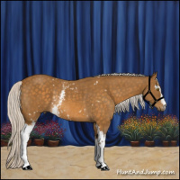 Horse Color:White Spotted Silver Buckskin Rabicano