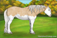 Horse Color:Silver Buckskin Roan Splash 