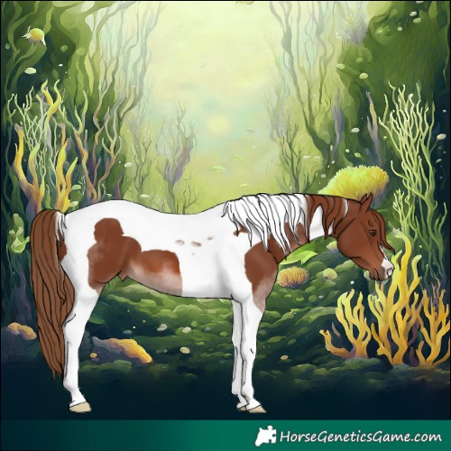 Horse Color:Chestnut Tobiano 