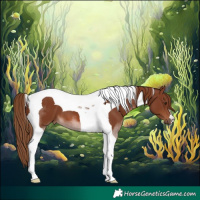 Horse Color:Chestnut Tobiano 