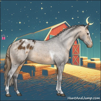 Horse Color:Buckskin Sabino Tobiano Blanket