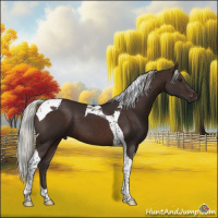 Horse Color:Silver Brown Tobiano 