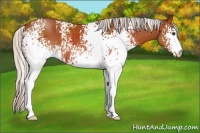 Horse Color:White Spotted Silver Brown 