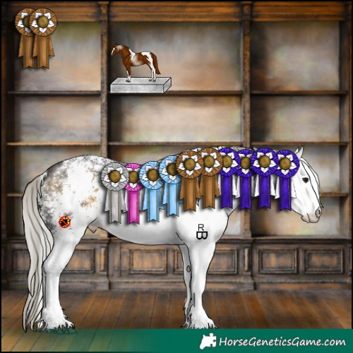 Horse Color:White Spotted Silver Buckskin 