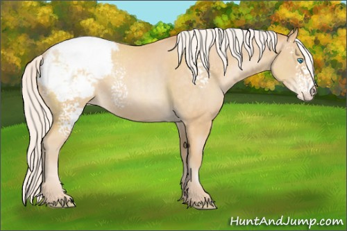Horse Color:White Spotted Silver Buckskin Pearl Snowcap