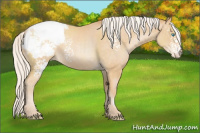 Horse Color:White Spotted Silver Buckskin Pearl Snowcap 