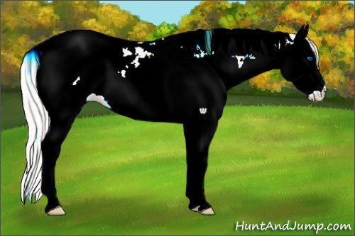 Horse Color:Cremello Splash Tobiano
