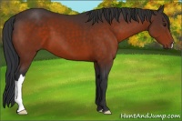 Horse Color:Brown 