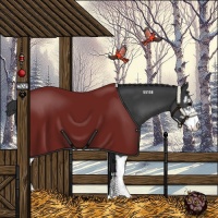 Horse Color:Black Sabino