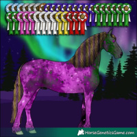 Horse Color:ERROR: UNKNOWN ANOMALY