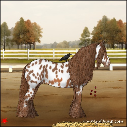 Horse Color:Chestnut Near Leopard