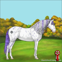 Horse Color:Watercolor Amber Champagne Onyx Tobiano Appaloosa 