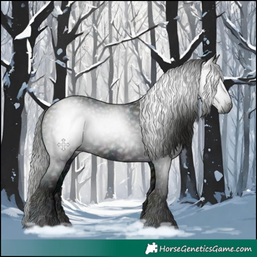 Horse Color:Gray Midnight Black 